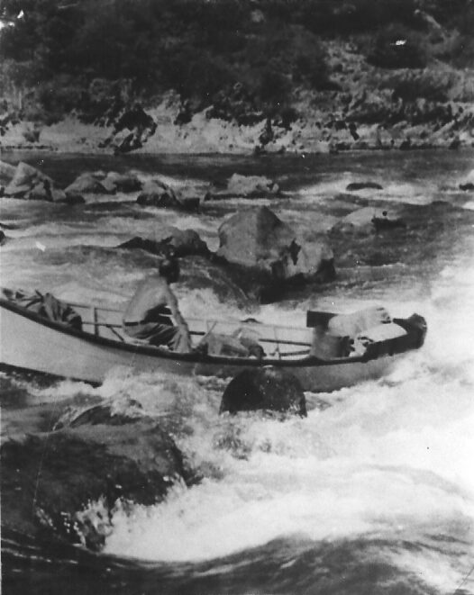 NEW INVENTORY WOOLDRIDGE visual data 4